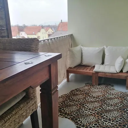 ❊ L'ecrin Selestadien ❊ Apartment Sélestat