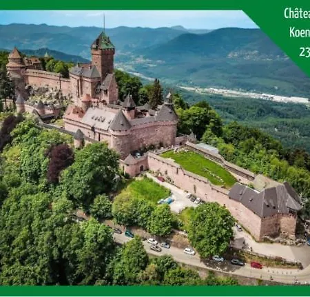 ❊ L'ecrin Selestadien ❊ *