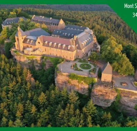 ❊ L'ecrin Selestadien ❊ Apartment *