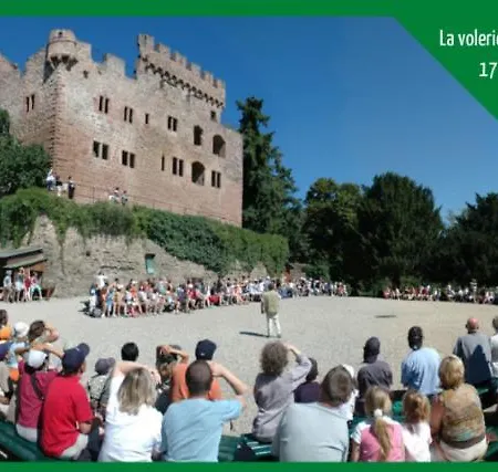 ❊ L'ecrin Selestadien ❊ Apartment Sélestat