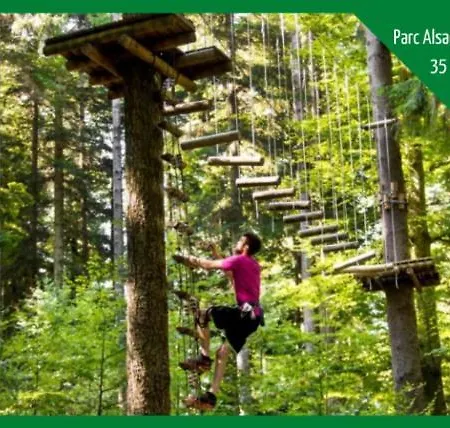 ❊ L'ecrin Selestadien ❊ *